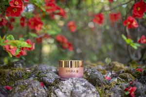 Crema Facial con Aceite de Salmón Rico en Omega, Crema Intensiva para la Recuperación de la Barrera Cutánea y Calmante para el Cuidado de la Piel Dañada e Irritada - Product Image 4