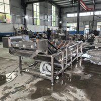Automatische luchtbelwasmachine 304 roestvrij staal industriële fruit groente zeevruchten maïs reinigingsapparatuur pompmotor