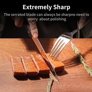 Wholesale Hot Sale 4.5 in Sharp Blade Stainless Steel <strong>Dinner</strong> Steak <strong>Knife</strong> Set with PP Handle 4 Pieces Steak <strong>Knives</strong> - Product Image 4
