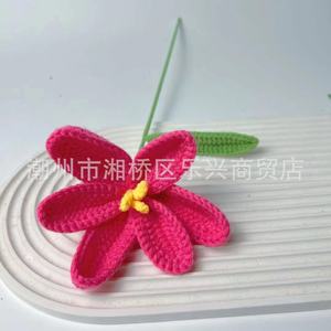 Bouquet de fleurs en laine colorées, tissées à la main, cadeau personnalisé, fleurs au crochet faites à la main, cadeau pour elle - Product Image 3