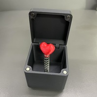 Nouveau jouet Surprise doigt du milieu boîte-cadeau Surprise saint valentin drôle blague blague Gag cadeaux excentriques saint valentin boîte mystère