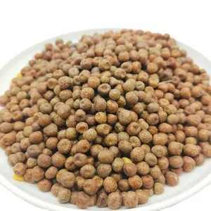Kacang Maple Kering Kualitas Premium Kacang Maple Asal Tiongkok untuk Tumbuh