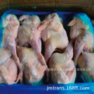 888 Dédouanement du porc congelé Logistique de la chaîne du froid Fret international H144 Produits alimentaires et agricoles - Product Image 4