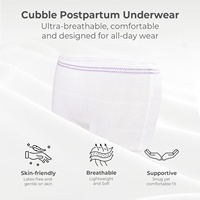 Sous-vêtement post-partum jetable avec double couche de protection anti-fuite essentielle pour la récupération de la section C de l'incontinence