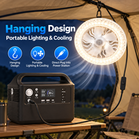 Générateur au lithium rechargeable 80000mAh 300W pour le camping, la pêche, les voyages et la sauvegarde d'urgence