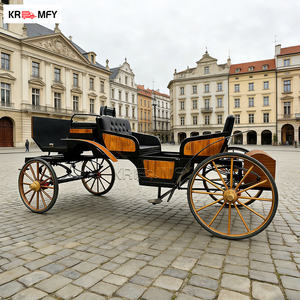 Calèche de mariage de luxe à chevaux avec éclairage LED pour extérieur et Noël, idéale pour les excursions - Product Image 1