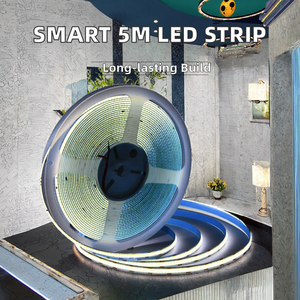 Cob LED <b>Strip</b> <b>Light</b> <b>Smart</b> 5m Flexible 24v 12V Warm White Pure White CCT IP20 Dimmable Copper Lamp Body - Product Image 2
