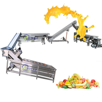 Industriële Passievruchtensap Productielijn Natuurlijke Vruchtensapmachine