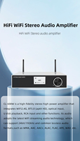 Amplificateur stéréo domestique HiFi 200W Power 2 (2.0) avec télécommande amplificateur audio Wi-Fi BT domestique up2stream mini