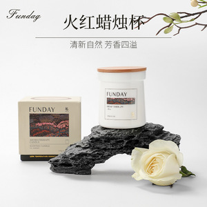 Funday Scented <b>Candle</b> 120g Minimalist Design Natural Fragrance Therapy <b>Candle</b> - Product Image 4