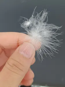 Natural White Duck Feather Filling Material Cheap Price Washed Wholesale Down Washed White Duck Down