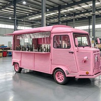 Camion de restauration mobile rétro sur mesure avec fenêtre de service, chariot à snacks pour café, crème glacée, hot-dogs, idéal pour les entreprises de restauration rapide en extérieur
