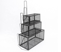 Piège à souris et rongeurs en cage métallique noire, capture vivante et sans cruauté, pour le contrôle des animaux