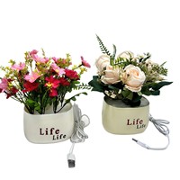 Mini pot de fleurs lumineux en plastique du fabricant pour la décoration de bricolage à la maison rehausseur d'humeur pour fleurs et plantes