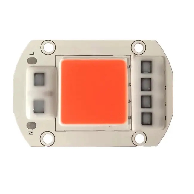 Real Power LED COB Chip 20w LED Lamp CHIP 20W 30W 50W 220V 240V Input IP65 Smart IC For DIY Outdoor LED Flood Light chips