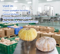 Industriële platte pompoenschilmachine voor voedselverwerkingsfabriek |   Kabocha-schilmesje