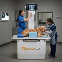 Clinique vétérinaire OliveVet, équipement de diagnostic pour hôpital, appareil de radiographie vétérinaire 32KW