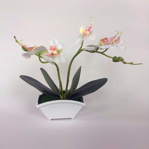 Planta Artificial de Orquídea Phalaenopsis Qi Xing de 20 cm en Maceta, Decoración Floral para Interiores - Product Image 3