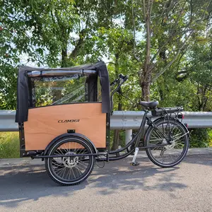 Armazém europeu elétrico de 3 roda de carga bicicleta, triciclo mais barato com 4 crianças
