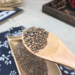 Zisuzi Chinês Herbal Perilla sementes Atacado em massa Disponível para venda a preço barato Bulk Supply 100% Natural Puro - Product Image 4