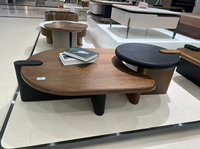 Table basse de salon en bois de noyer de luxe, design italien minimaliste haut de gamme, créative et moderne, à vendre