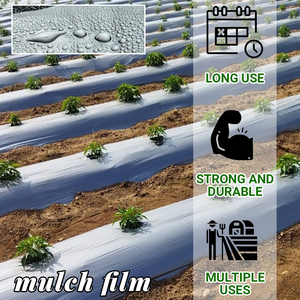 Film de paillage en plastique HDPE + UV noir de 100 m pour la croissance de l'herbe, technologie sophistiquée, avec service de découpe pour serre - Product Image 2