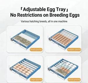 Hatching Machine <b>Egg</b> Incubator Small <b>Egg</b> Machine Incubator Small Household-type Fully Automatic Intelligent Hatching Box - Product Image 6