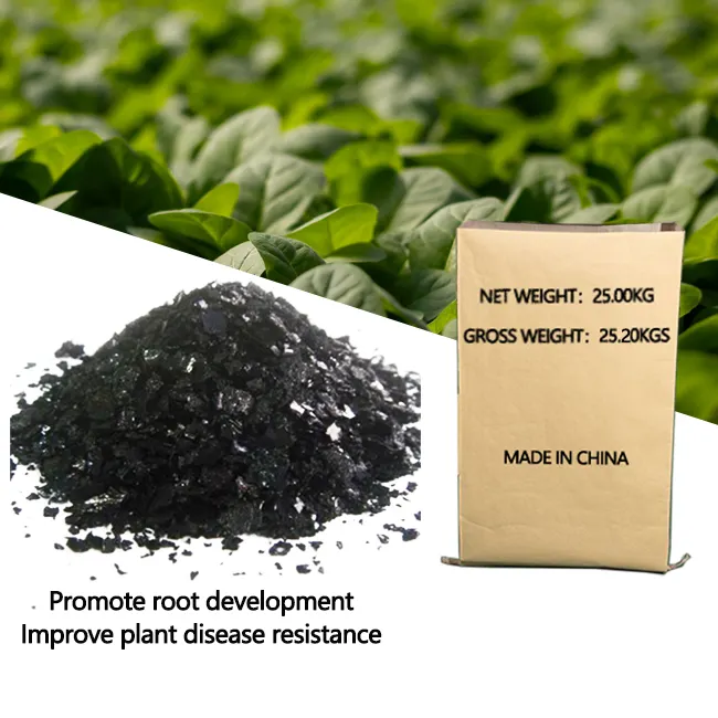 Design speciale estratto di alghe ampiamente usato acido alginico fertilizzante alghe fiocco di lavorazione organico