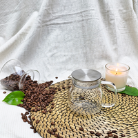 Mini-filtre à café et thé instantané en verre borosilicate transparent, écologique et moderne, avec support en bois