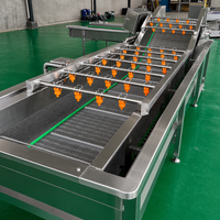 Automatische groente- en fruitwasmachine van hoge kwaliteit voor industrieel gebruik