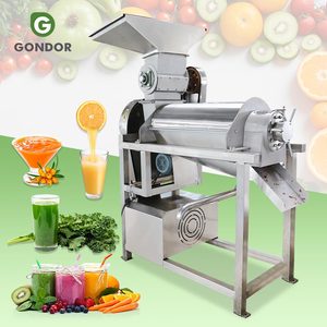 Extractor de Jugos Prensado en Frío, Máquina Exprimidora de Naranjas, Acero Inoxidable 304, Máquina para Exprimir Jugos de Manzana y Tomate - Product Image 1