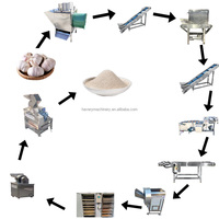 Ligne de production de poudre d'ail entièrement automatique, provenant d'un constructeur de machines leader en Chine