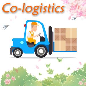 Саудовская Аравия DDP воздушная служба доставки от двери до двери, Китайский агент доставки в Джедду/Даммам - Product Image 6