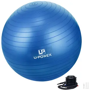 Großhandel Druck benutzer definierte Logo Hersteller 65cm Fitness studio Yoga Ball Gymnastik ball mit Pumpe