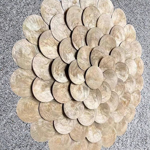 CRAFTS HUB Conchas de Capiz Doradas Rectangulares Pulimentadas con Tacto Real, 100 Piezas/Bolsa, Estilo Floral para Manualidades, Decoración del Hogar, DIY - Product Image 3