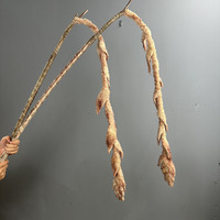 CC-938 Rumput Ekor Rubah Buatan (Artificial Pennisetum Setaceum) untuk Dekorasi Pernikahan dan Rumah