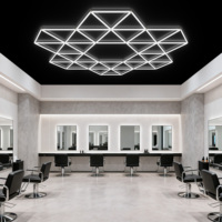 Lampu LED Detailing Bentuk Bunga Heksagonal Gonengo Wholesale DIY Assembly untuk Showroom Mobil dan Bengkel Otomotif