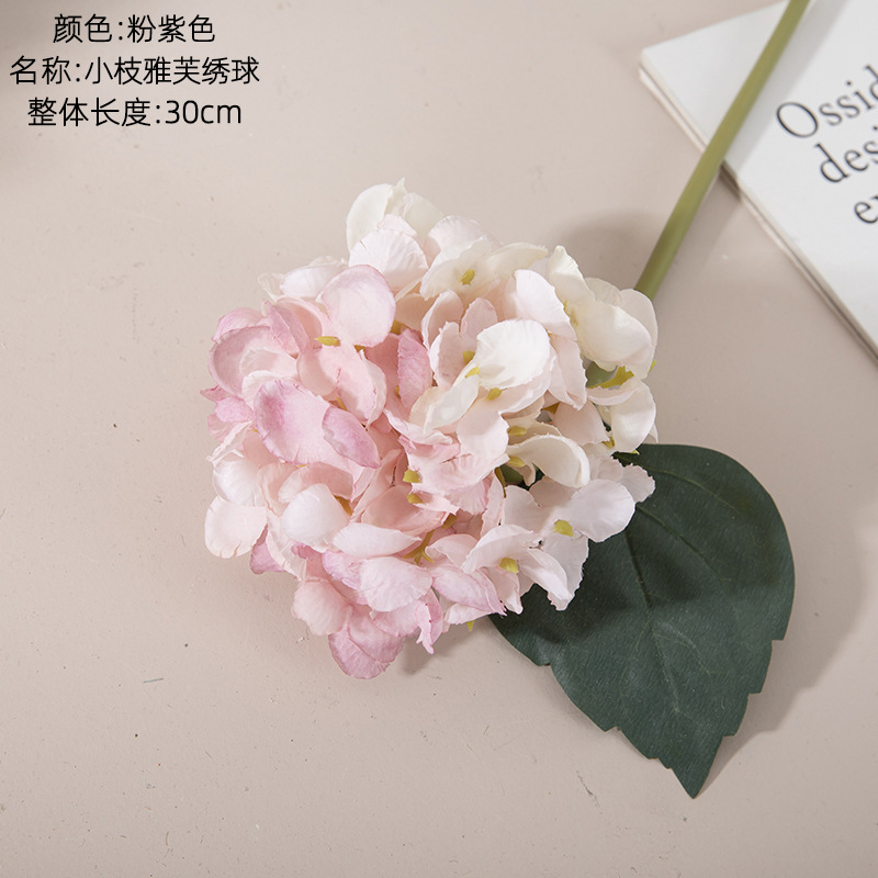 Pourpre rose