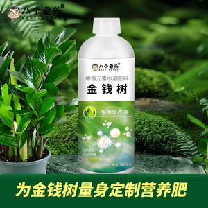 น้ำยาบำรุงพิเศษต้นไม้เงิน บาเกลอตู 300 มล. อาหารพืชชนิดน้ำ - Product Image 4