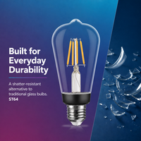 Ampoule à filament LED A60 personnalisée, résistante aux hautes températures, anti-choc, lampe vintage, couleur de filament réglable, capteur de mouvement
