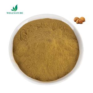 버섯 복합 버섯 믹스 파우더 라이온스 갈기 동충하초 Reishi Chaga 터키 테일 파우더 - Product Image 3