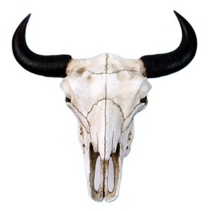 Decorazione della parete delle teste di animali del dinosauro della resina dei mestieri della decorazione domestica fatta a mano su ordinazione diretta della fabbrica - Product Image 3