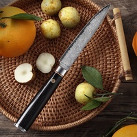 5 Inch 67-Laags Damascus Stalen Mes, Scherp Voor Schillen/Snijden, Keuken Fruit/Groente Prep Tool