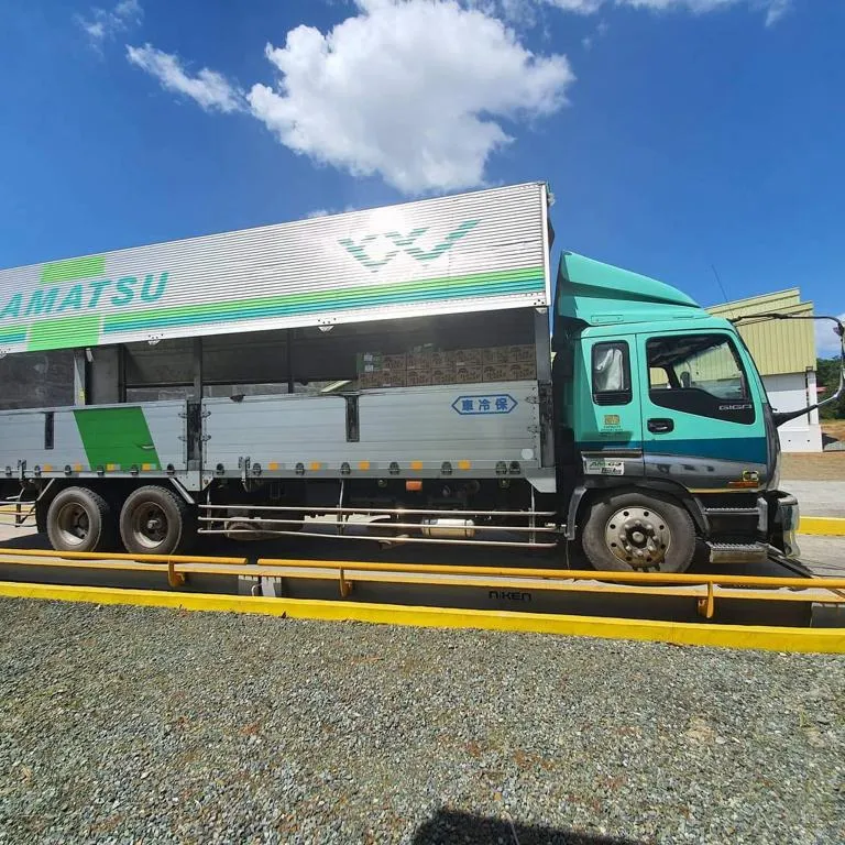 Zonnjli — plateforme de pesage standard pour camion, échelle 120 tonnes, 3x18m, livraison gratuite