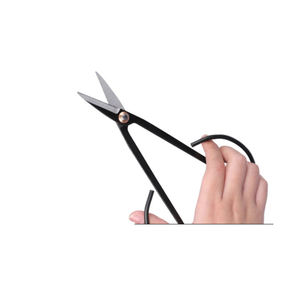 Outils manuels de bonsaï de forgeage de Offre Spéciale de prix bon marché <span class=keywords><strong>pour</strong></span> la coupe de jardinage succulente appliquée - Product Image 3