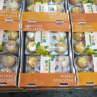 Impression personnalisée En Plastique Ondulé Myrtille Cerise Creuse En Plastique PP Fraise Boîtes D'emballage Caisses En Plastique Pour Fruits