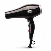Sèche-cheveux électrique professionnel haute performance et durable 2000-2600W avec moteur AC à température constante pour usage hôtelier et domestique
