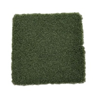Césped artificial Putting Green de alta calidad LW 10mm para Cancha de cricket de golf