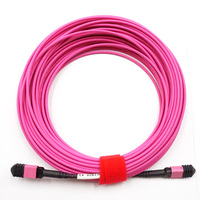 Kabel Patch Fiber MPO ke MPO Elite Low Loss CPR CCA DCA 12 Core OM4 Multimode 50/125 LSZH 3.0mm untuk Pusat Data