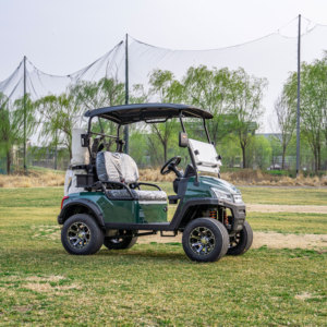 Bestselling Products Best-selling Supply Residential Villa & Resort Battery Driven <b>2</b> <b>Passenger</b> <b>2</b>-seat Golf Buggy - Product Image 2